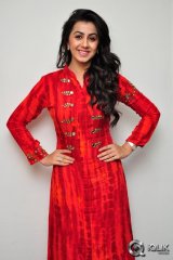 Nikki Galrani at Krishnashtami Movie Promotions